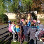 phoca_thumb_m_v zmeck 43 Fotogalerie